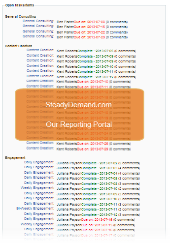 Steady Demand Reporting Portal for Clients